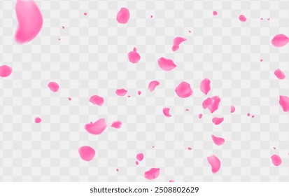 Bright Confetti Vector  Background. Rose Light pink Illustration. Blooming Garden Cover. Leaf Isolated Backdrop. Pink Petal Beauty Poster.

