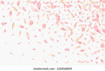 Bright Confetti Vector Transparent Background Lotus Stock Vector ...