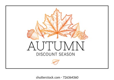 Bright contrast  illustration with sketch hand drawn leaves in outline technique with text autumn discount season and in frame