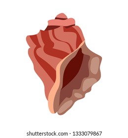 Bright coral sea shell illustration. Mollusc, ocean, decoration. Nature concept. Vector illustration can be used for topics like ocean, sea, design, decoration