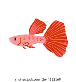 A bright coral-red guppy vector with radiant tail fins. Perfect for aquatic-themed visuals, decorative collections, and modern tropical illustration designs.