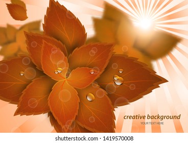 Bright creative leaves through the rays of the sun. Abstract poster with shining sun and blurred background. Vector illustration