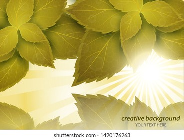 Bright creative leaves through the rays of the sun. Abstract poster with shining sun and blurred background. Vector illustration