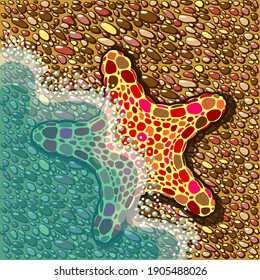 Bright and cute little sea star makes her promenade partially in the sea and partially on the shore. Vector illustration.