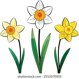 Bright Daffodil Flower Vector Illustration Symbolizing Renewal and the Joy of Spring