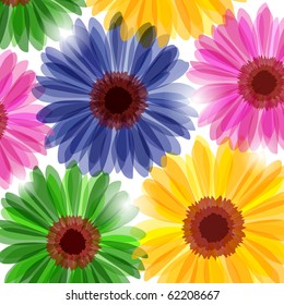 Bright daisy flowers in sunlight (background eps10)