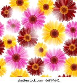 Bright daisy flowers in sunlight (seamless background) eps10