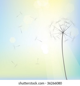 Bright dandelion design, vector art