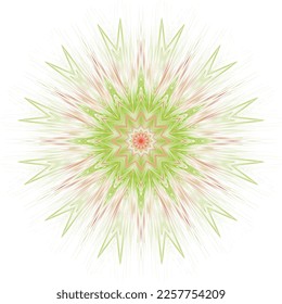 A bright decorative shining star. Vector file for designs.