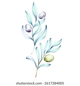 Bright and delicate watercolor olives and olive oil illustrations capturing the essence of nature and Italian cuisine