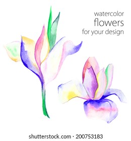 bright delicate watercolor painting flowers