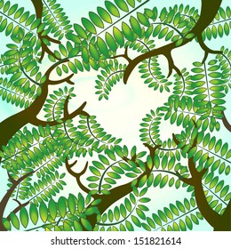 Bright design of walnut tree branches looking from below