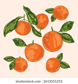 Bright and detailed hand-drawn illustration of tangerines with green leaves. Ideal for citrus-themed designs, food packaging, kitchen art, and seasonal fruit graphics.