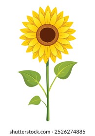 Bright and detailed illustration of a single sunflower with green leaves, standing tall on a white background.