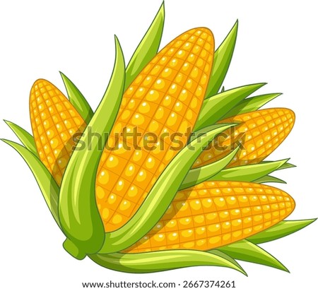 Bright, detailed vector illustration of multiple yellow corn cobs with green husks, vibrant colors, clean outlines, and a white background