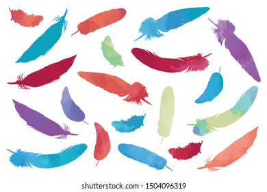 Bright different feathers silhouettes set on white background