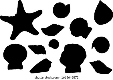 Bright different seashells and marine inhabitants. Silhouettes set on white background