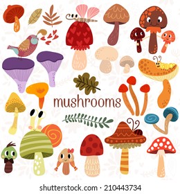 Bright different types of mushrooms  set in vector. Tasty card in cartoon style on white background