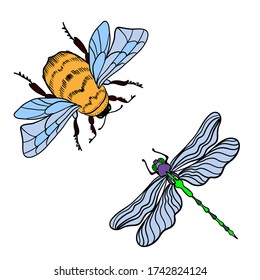 Bright dragonfly and bumblebee on a white background isolated. Black outline Hand drawn vector illustration in vintage style. Design for t-shirts, cards, flyers, brochures. Vector illustration