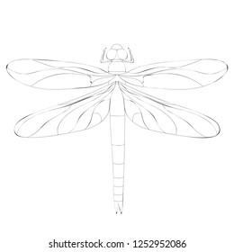 Dragonfly Over Sacred Geometry Sign Isolated Stock Vector (Royalty Free ...