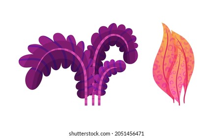 Bright Exotic Grass and Fancy Plant with Shaped Leaf Vector Set