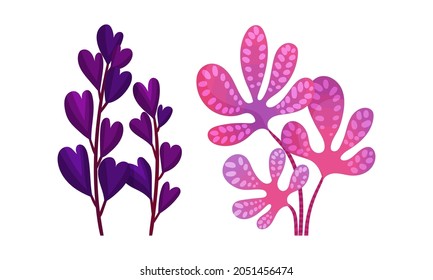 Bright Exotic Grass and Fancy Plant with Shaped Leaf Vector Set