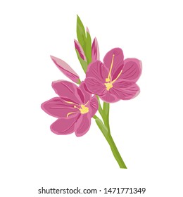 Bright and exotic pink flowers. The texture of the pattern is smooth for fashion, textiles, fabrics, business cards, and other designs.