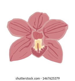 Bright and exotic pink orchid flowers. The texture of the pattern is smooth for fashion, textiles, fabrics, business cards, and other designs.