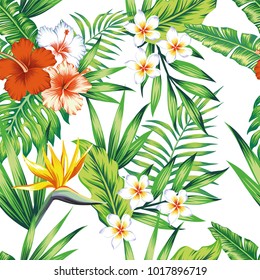 Bright exotic tropical flowers hibiscus frangipani bird of paradise and green leaves seamless pattern beach vector wallpaper on the white background