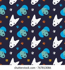 Bright faces of dogs