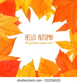 Bright fall frame with orange and red leaves. Hello autumn banner. Autumn background for advertisement, greeting cards and social media content