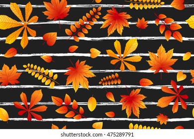 Bright fall leaves on black striped background. Seamless texture of maple leaves. Vector illustration EPS10