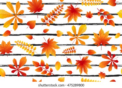 Bright fall leaves on black striped background. Seamless texture of maple leaves. Vector illustration EPS10