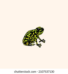 Bright false toad. Australian riptile. Vector illustration isolated on white background.