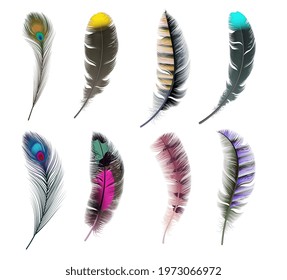 392 Neon plumage Images, Stock Photos & Vectors | Shutterstock