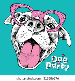 Bright festival poster with portrait of a cheerful  dog in pink glasses on blue background. Vector illustration.