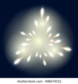 Bright fireworks in the dark sky