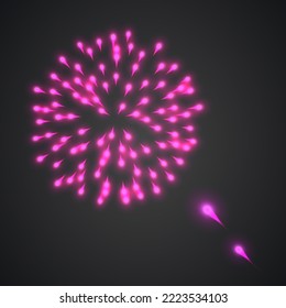 Fuegos artificiales brillantes de pantalla de vectores de fuegos artificiales en color rosa
