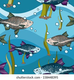 Bright fish in the blue sea