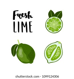 Bright, flat style Lime Fruit illustration with lettering. Vector clipart.    