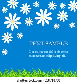 Bright floral card with camomile flowers. Blue background with grass and flowers