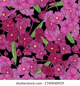 Bright floral seamless pattern. Summer background with colored phloxes. Botanical illustration, hand-drawing. Design for textiles, fabrics, wallpapers, home decoration, packaging,