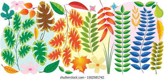 Bright floral tropical leaves on abstract colorful pattern. vector background. Plant flower nature wallpaper.