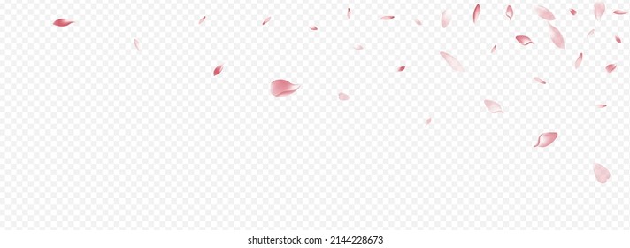 Bright Floral Vector Panoramic Transparent Background. Heart Wallpaper Backdrop. Rosa Soft Template. Blossom Down Poster. Pink Flower Springtime Design.