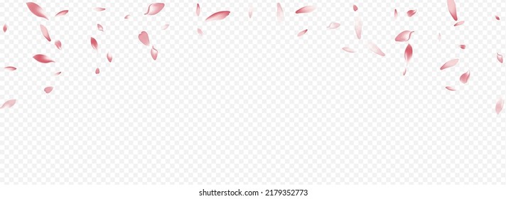 Bright Floral Vector Panoramic Transparent Background. Cherry Overlay Poster. Leaf Air Illustration. Blooming Japan Congratulation. Purple Flower Graphic Template.