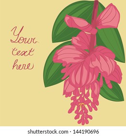 Bright flower element for card, invitation, banner