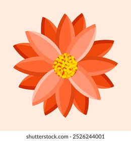 Flor brilhante de gerbera, crisântemo ou margarida. Ilustração isolada de vetor botânico para cartão postal, cartaz, anúncio, decoração, tecido e outros usos.