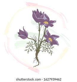 Bright flower with leaves, floral bouquet on an abstract background.