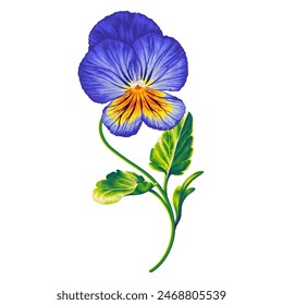 Flor brillante Pansy azul con planta realista amarilla dibujada a mano. Planta arte de Clip aislado sobre un fondo blanco para el diseño de tus productos, impresión y en redes sociales.