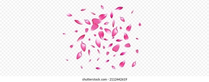 Bright Flower Vector Panoramic Transparent Background. Heart Fall Cover. Sakura Aroma Design. Blossom 3d Pattern. Color Blooming Spring Illustration.